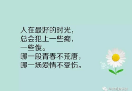 人生感悟短句,短句中的哲理与智慧