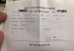 东北陈网红,东北方言的魅力与传播者