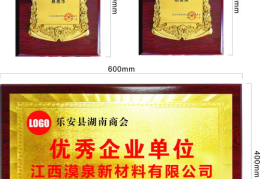 网红荣誉牌,盘点那些闪耀网络的名人风采