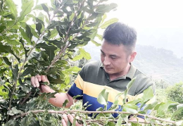 网红许华东,从草根逆袭到商业巨擘的传奇人生